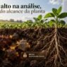 Fósforo alto no solo mas indisponível para as plantas