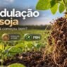 Nodulação da soja: como saber cedo se a FBN começou bem?