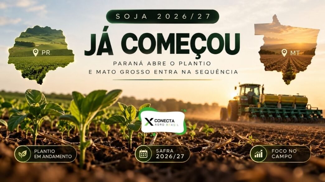 Plantio da soja 2026/27 no Paraná e Mato Grosso