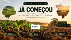Plantio da soja 2026/27 no Paraná e Mato Grosso