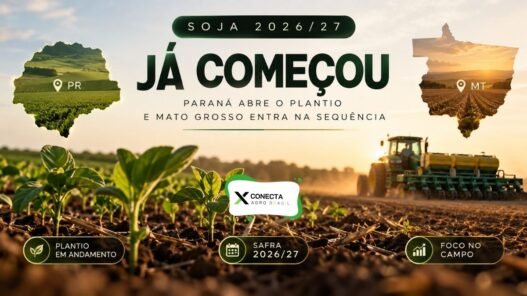 Plantio da soja 2026/27 no Paraná e Mato Grosso