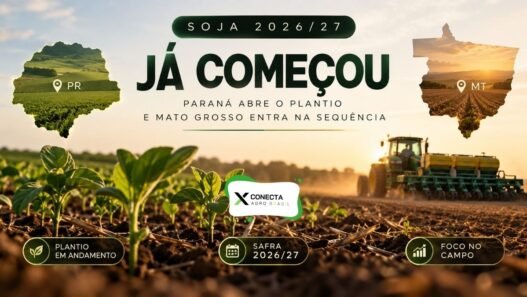 Plantio da soja 2026/27 no Paraná e Mato Grosso