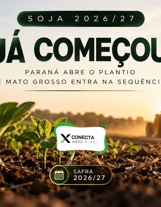 Plantio da soja 2026/27 no Paraná e Mato Grosso