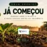 Plantio da soja 2026/27 no Paraná e Mato Grosso