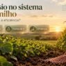 Potássio no sistema soja-milho: fonte muda a eficiência?