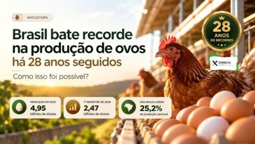 Produção de ovos no Brasil em 2026: 28 anos de recordes seguidos — como isso foi possível?