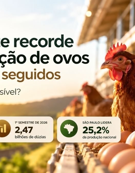 Produção de ovos no Brasil em 2026: 28 anos de recordes seguidos — como isso foi possível?