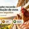 Produção de ovos no Brasil em 2026: 28 anos de recordes seguidos — como isso foi possível?