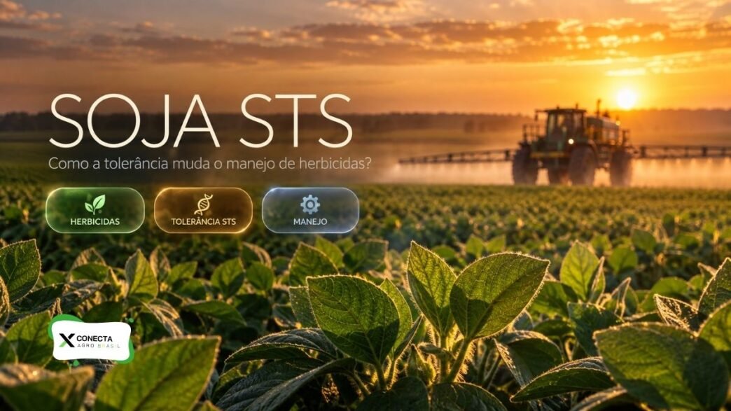 Soja STS no manejo de herbicidas: o que muda?