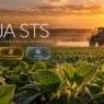 Soja STS no manejo de herbicidas: o que muda?