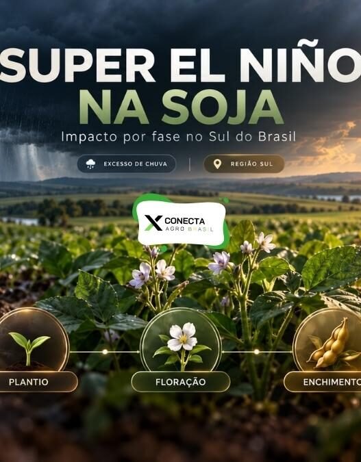 Super El Niño 2026/27 na soja: impacto em cada fase da cultura no Sul do Brasil