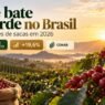 Café bate recorde no Brasil: safra chega a 67,6 milhões de sacas em 2026