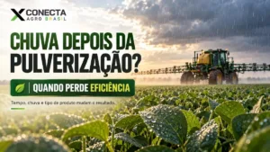 Chuva depois da pulverização: quando o defensivo perde eficiência?