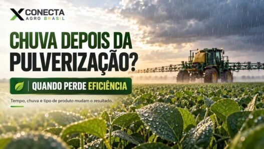 Chuva depois da pulverização: quando o defensivo perde eficiência?
