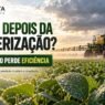 Chuva depois da pulverização: quando o defensivo perde eficiência?