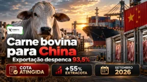 Exportação de carne bovina do Brasil para a China despenca 93,5%