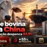 Exportação de carne bovina do Brasil para a China despenca 93,5%