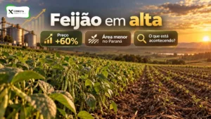 Feijão sobe quase 60% em um ano, mas Paraná reduz área de plantio: o que está acontecendo?