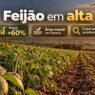Feijão sobe quase 60% em um ano, mas Paraná reduz área de plantio: o que está acontecendo?