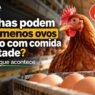 Galinhas podem botar menos ovos mesmo com comida à vontade?