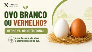 Ovo branco ou vermelho: existe diferença nutricional entre eles?