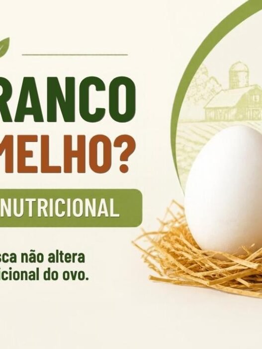 Ovo branco ou vermelho: existe diferença nutricional entre eles?