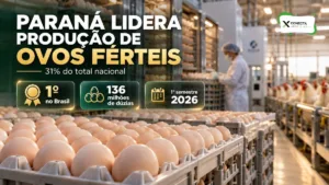 Paraná lidera produção de ovos férteis no Brasil