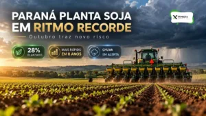 Paraná planta soja no ritmo mais rápido em 8 anos