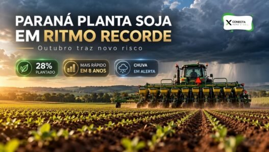 Paraná planta soja no ritmo mais rápido em 8 anos