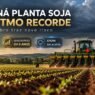 Paraná planta soja no ritmo mais rápido em 8 anos